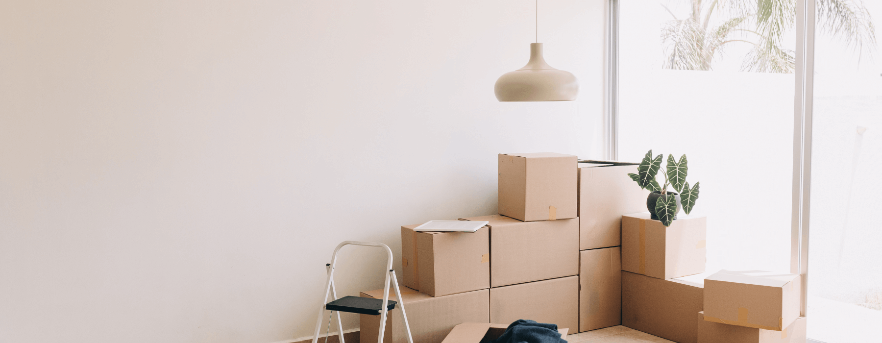 A stack of cardboard moving boxes is arranged next to a window in a minimalistic, well-lit room, with a small step ladder and a potted plant nearby.